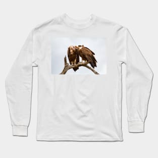 Vulture Couple is Caressing Each Other 2 - Kruger National Park Long Sleeve T-Shirt